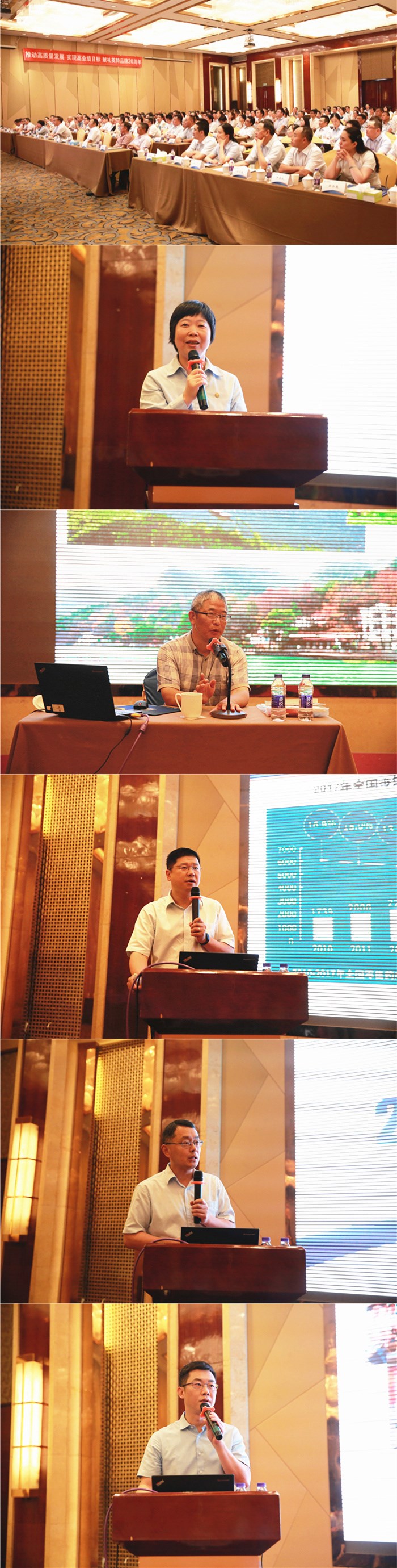 1540369901859419nK6Z.jpg qq圖片20180725003648_副本_副本.jpg